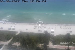 Miami Beach Live Surf Cam: See the Waves Now! | Learn to Surf & Skate: A Beginner's Step-by-Step Guide