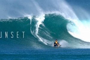 Your Up-to-Date Sunset Beach Hawaii Surf Report Today! | Learn to Surf & Skate: A Beginner's Step-by-Step Guide