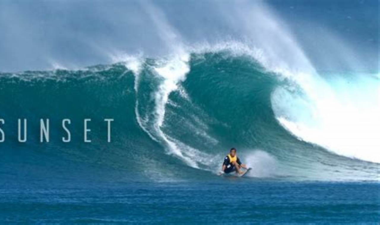 Your Up-to-Date Sunset Beach Hawaii Surf Report Today! | Learn to Surf & Skate: A Beginner's Step-by-Step Guide