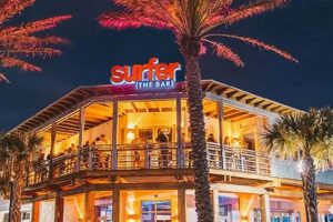 Your Guide: Surfer Bar Jacksonville Beach Scene + Tips | Learn to Surf & Skate: A Beginner's Step-by-Step Guide