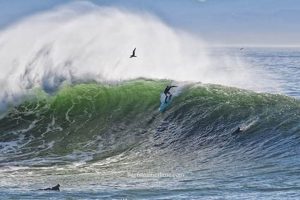 Steamer Lane Surf Cam: Watch Waves Live! | Learn to Surf & Skate: A Beginner's Step-by-Step Guide