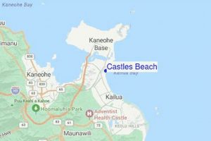 Your Guide: Castles Surf Report & Conditions Now! | Learn to Surf & Skate: A Beginner's Step-by-Step Guide