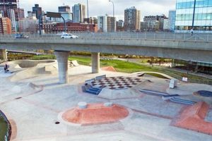 Visit Lynch Family Skate Park: Your Ultimate Skate Spot! | Learn to Surf & Skate: A Beginner's Step-by-Step Guide