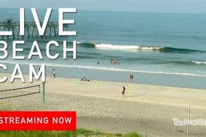 Jacksonville Beach Surf Cam: FL Waves Live Now! | Learn to Surf & Skate: A Beginner's Step-by-Step Guide
