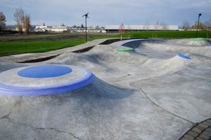Salem Skate Park | Learn to Surf & Skate: A Beginner's Step-by-Step Guide