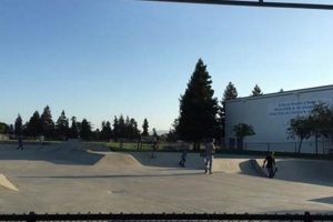 Visit Santa Clara Skate Park: Fun &amp; Thrills Await! | Learn to Surf & Skate: A Beginner's Step-by-Step Guide