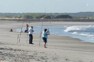 OBX Surf Fishing Report: Tips &amp; Latest Catch Updates | Learn to Surf & Skate: A Beginner's Step-by-Step Guide