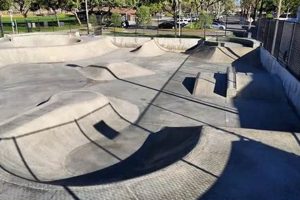 Explore Harvard Skate Park: [Location/Benefit]! | Learn to Surf & Skate: A Beginner's Step-by-Step Guide