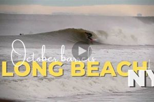 Your Long Beach Surf Report: Conditions &amp; Forecast | Learn to Surf & Skate: A Beginner's Step-by-Step Guide