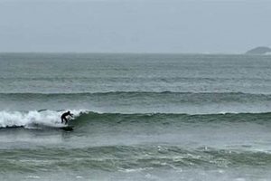 Nahant Surf Report: Waves Now + Weekend Forecast | Learn to Surf & Skate: A Beginner's Step-by-Step Guide