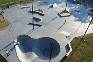 Visit Apex Skate Park: Fun for All Ages! | Learn to Surf & Skate: A Beginner's Step-by-Step Guide