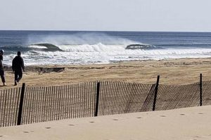 NJ Surf Report: Your Guide to New Jersey Waves Today | Learn to Surf & Skate: A Beginner's Step-by-Step Guide