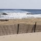 NJ Surf Report: Your Guide to New Jersey Waves Today | Learn to Surf & Skate: A Beginner's Step-by-Step Guide