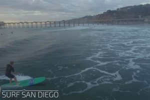 Watch Scripps Surf Cam: [Live] See San Diego Waves Now | Learn to Surf & Skate: A Beginner's Step-by-Step Guide