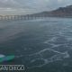 Watch Scripps Surf Cam: [Live] See San Diego Waves Now | Learn to Surf & Skate: A Beginner's Step-by-Step Guide