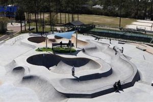 South Beach Skate Park Guide: Miami's Top Spot! | Learn to Surf & Skate: A Beginner's Step-by-Step Guide