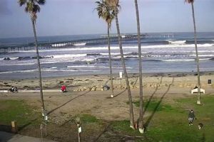 San Clemente Surf Report: Today's Conditions & More! | Learn to Surf & Skate: A Beginner's Step-by-Step Guide