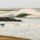 Your Guide to Newport Beach Surf Spots & Gear | Learn to Surf & Skate: A Beginner's Step-by-Step Guide